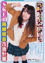 高柳明音 SKE48 藤井シェリー 麻倉憂 神咲詩織 [Young Animal] 2011年No.11 写真杂志