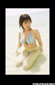 [DGC] NO.432 Yoko Mitsuya 三津谷葉子